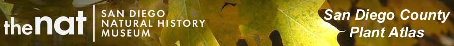 The San Diego Natural History Museum Home Page